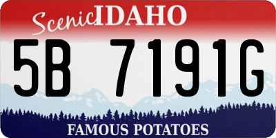 ID license plate 5B7191G