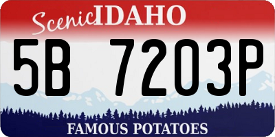ID license plate 5B7203P