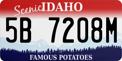 ID license plate 5B7208M