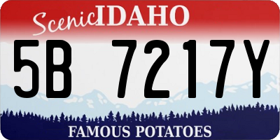 ID license plate 5B7217Y