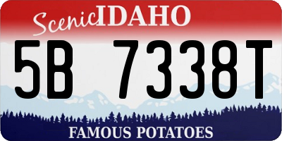 ID license plate 5B7338T