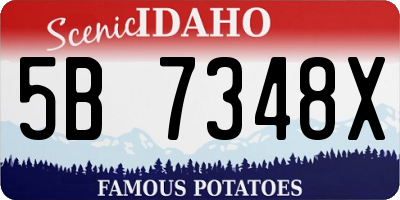ID license plate 5B7348X