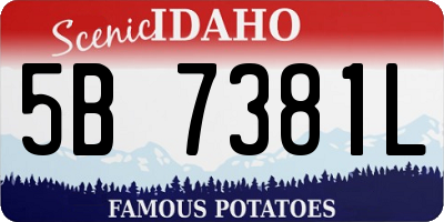 ID license plate 5B7381L