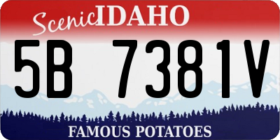 ID license plate 5B7381V