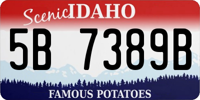 ID license plate 5B7389B