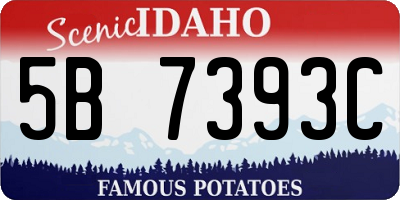 ID license plate 5B7393C