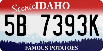 ID license plate 5B7393K