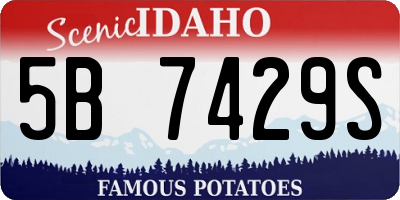 ID license plate 5B7429S