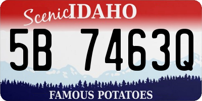 ID license plate 5B7463Q