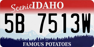 ID license plate 5B7513W