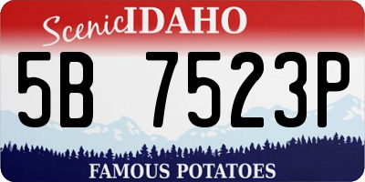 ID license plate 5B7523P