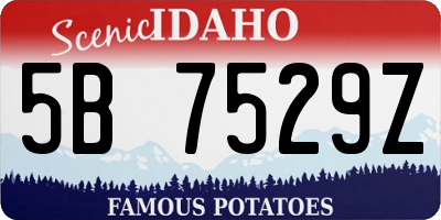 ID license plate 5B7529Z