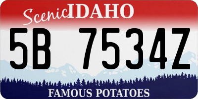 ID license plate 5B7534Z