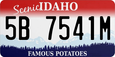 ID license plate 5B7541M