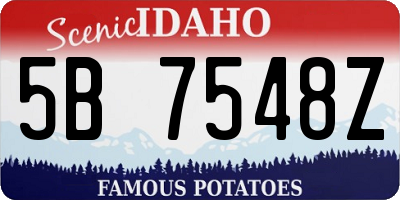 ID license plate 5B7548Z