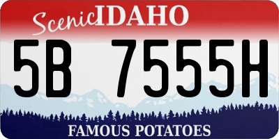 ID license plate 5B7555H