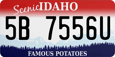 ID license plate 5B7556U