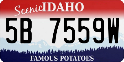 ID license plate 5B7559W
