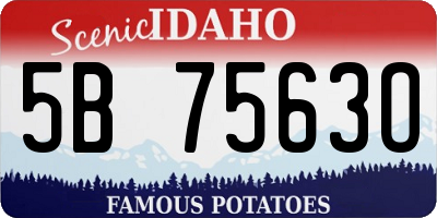 ID license plate 5B7563O