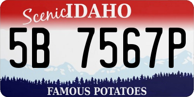 ID license plate 5B7567P