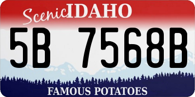 ID license plate 5B7568B