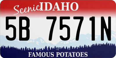 ID license plate 5B7571N