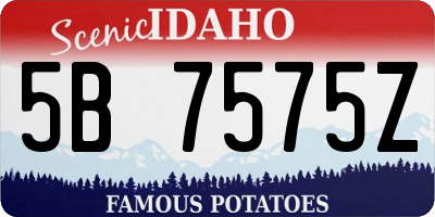 ID license plate 5B7575Z