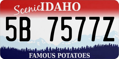 ID license plate 5B7577Z