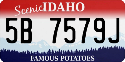 ID license plate 5B7579J