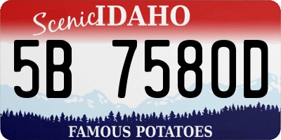 ID license plate 5B7580D