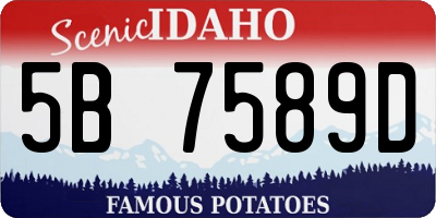 ID license plate 5B7589D