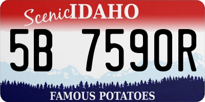 ID license plate 5B7590R
