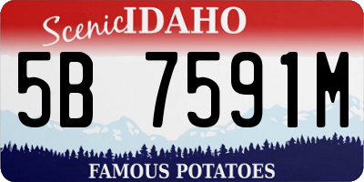 ID license plate 5B7591M