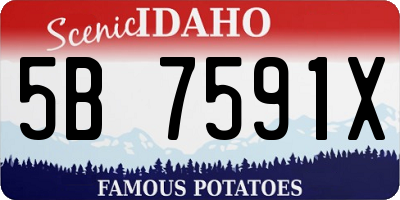 ID license plate 5B7591X