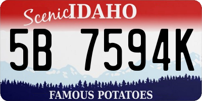 ID license plate 5B7594K