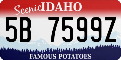 ID license plate 5B7599Z