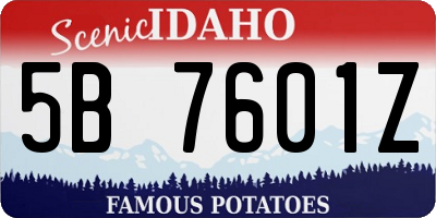 ID license plate 5B7601Z