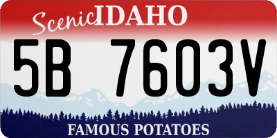 ID license plate 5B7603V