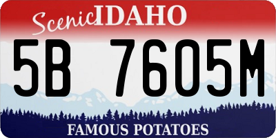 ID license plate 5B7605M