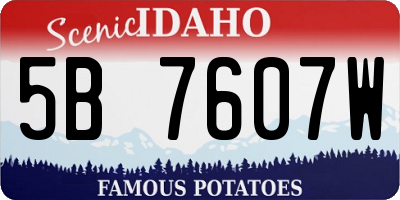 ID license plate 5B7607W