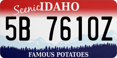 ID license plate 5B7610Z