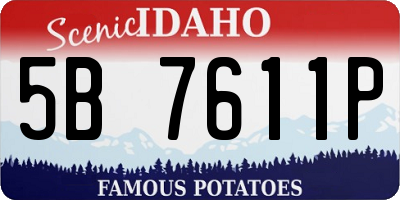 ID license plate 5B7611P