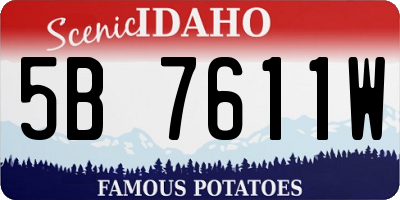 ID license plate 5B7611W