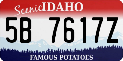 ID license plate 5B7617Z