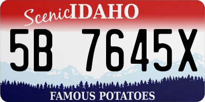 ID license plate 5B7645X