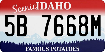 ID license plate 5B7668M