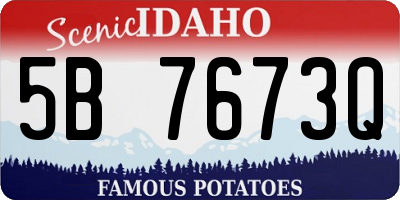 ID license plate 5B7673Q