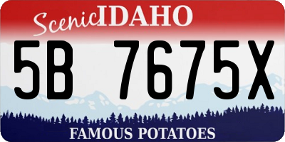 ID license plate 5B7675X
