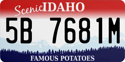ID license plate 5B7681M
