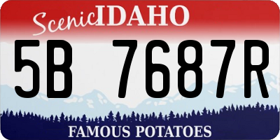 ID license plate 5B7687R